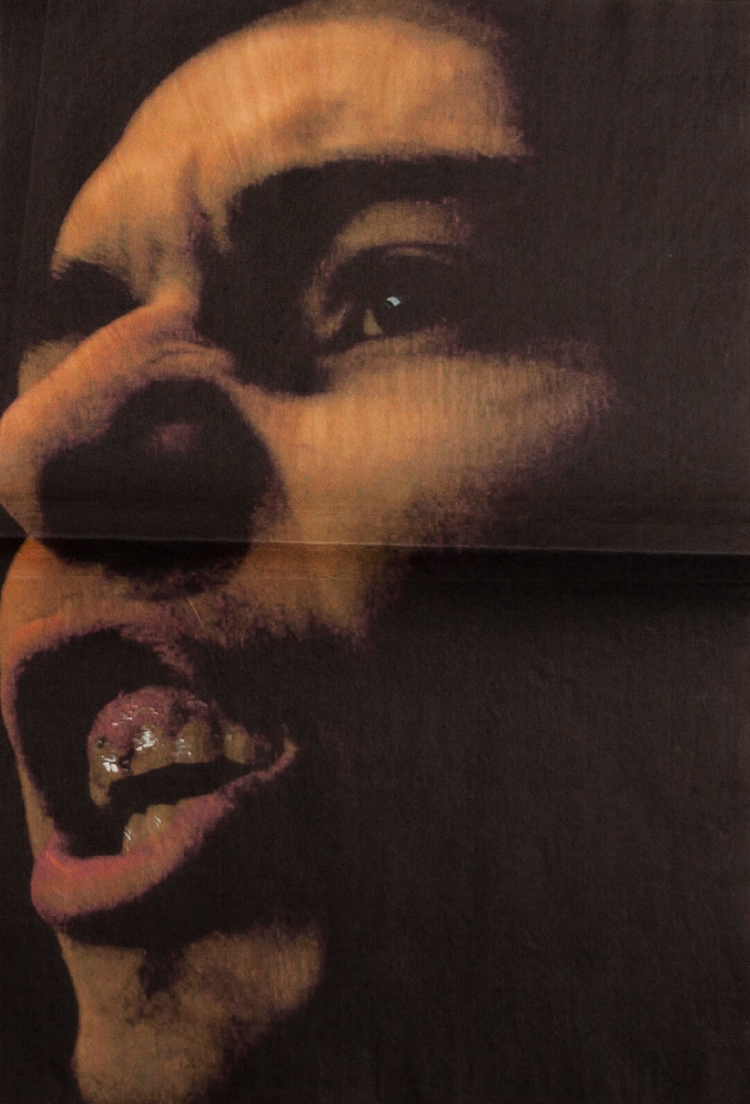 Détail journal, portrait des Ultra Boyz 90, Quart de virage nord-ouest, HEAR Strasbourg - © Eva Lambert