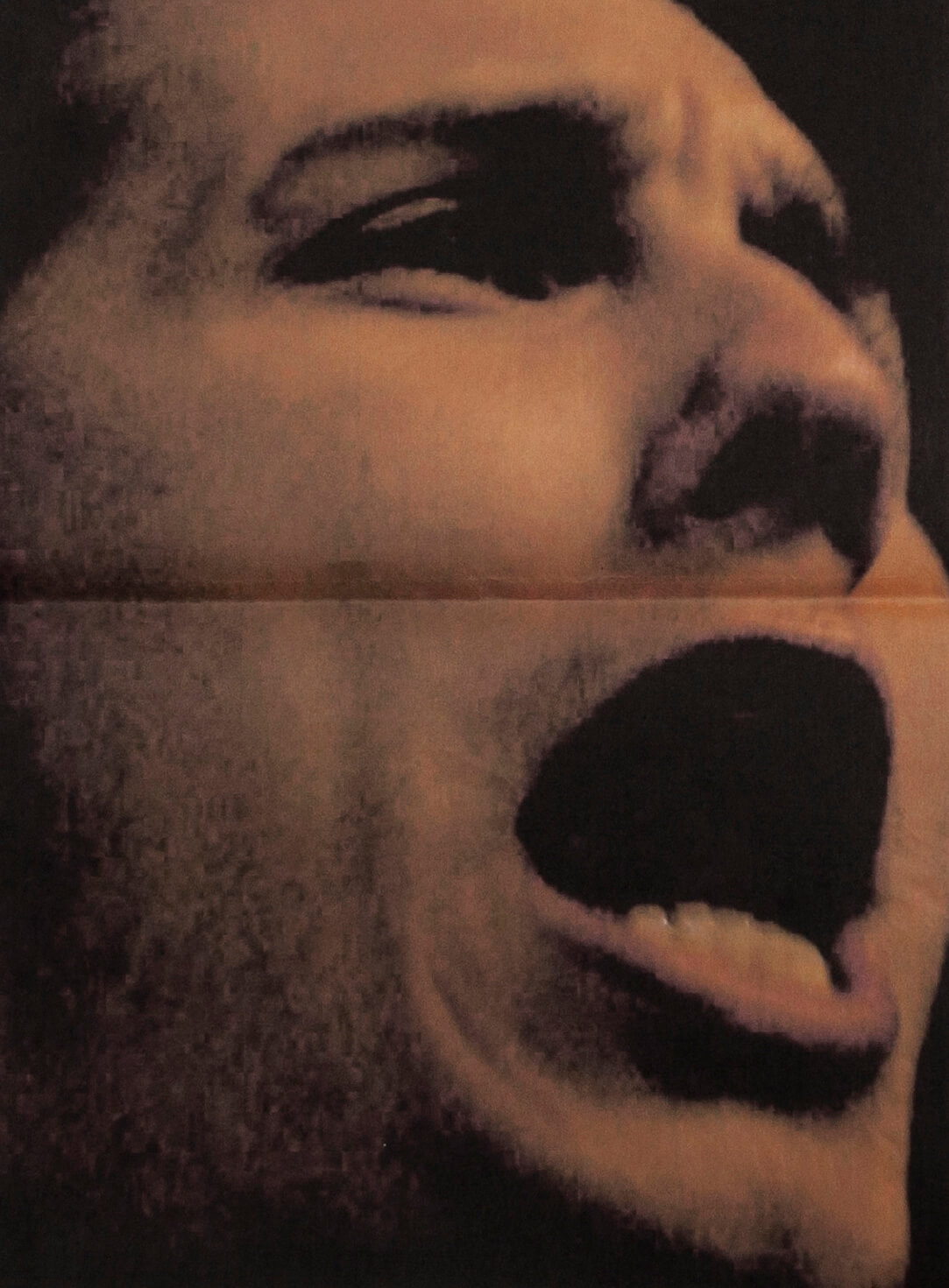 Détail journal, portrait des Ultra Boyz 90, Quart de virage nord-ouest, HEAR Strasbourg - © Eva Lambert