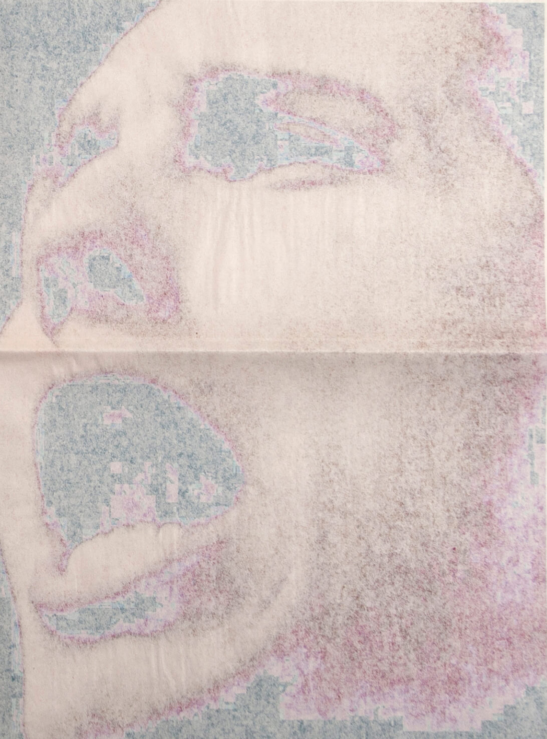 Détail journal, portrait des Ultra Boyz 90, Quart de virage nord-ouest, HEAR Strasbourg - © Eva Lambert